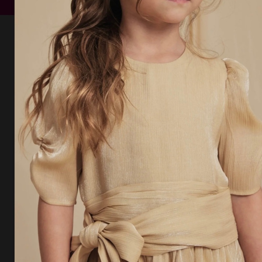 NoraLee Josephine Dress in Metallic Champagne - Picture 4 of 8